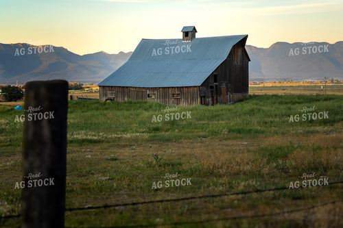 Barn in Pasture 65443