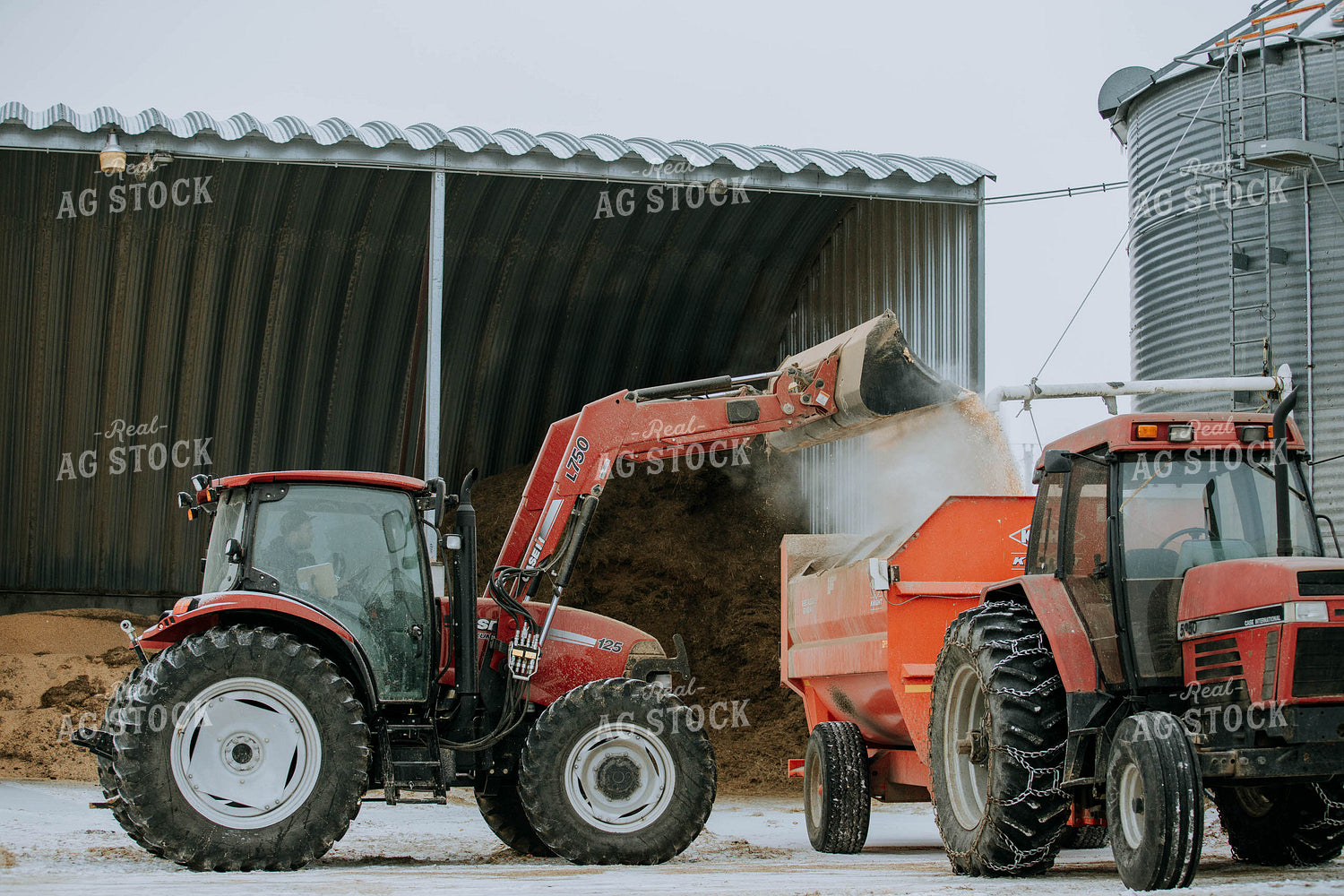 Tractor Emptying into feed mixer 77139