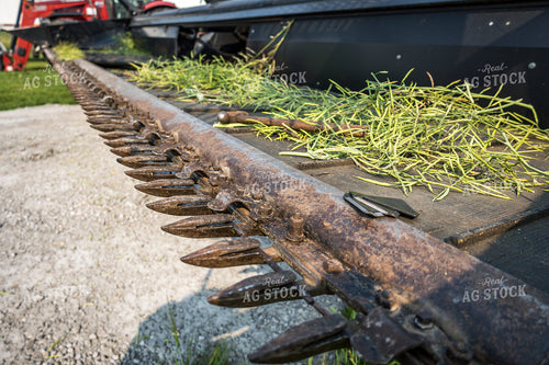 Canola Swather 138094