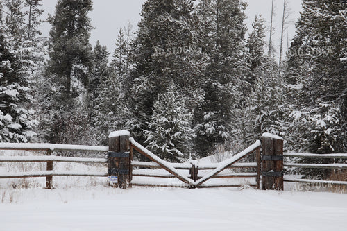 Snowy Fence 102048
