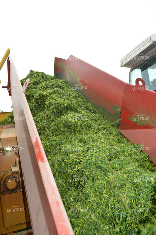 Putting Up Haylage 206053