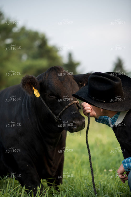 Farm Kid with Show Cow 76736