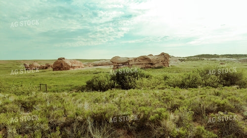 Scenic Pasture 58029