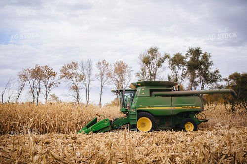 Corn Harvest 285004