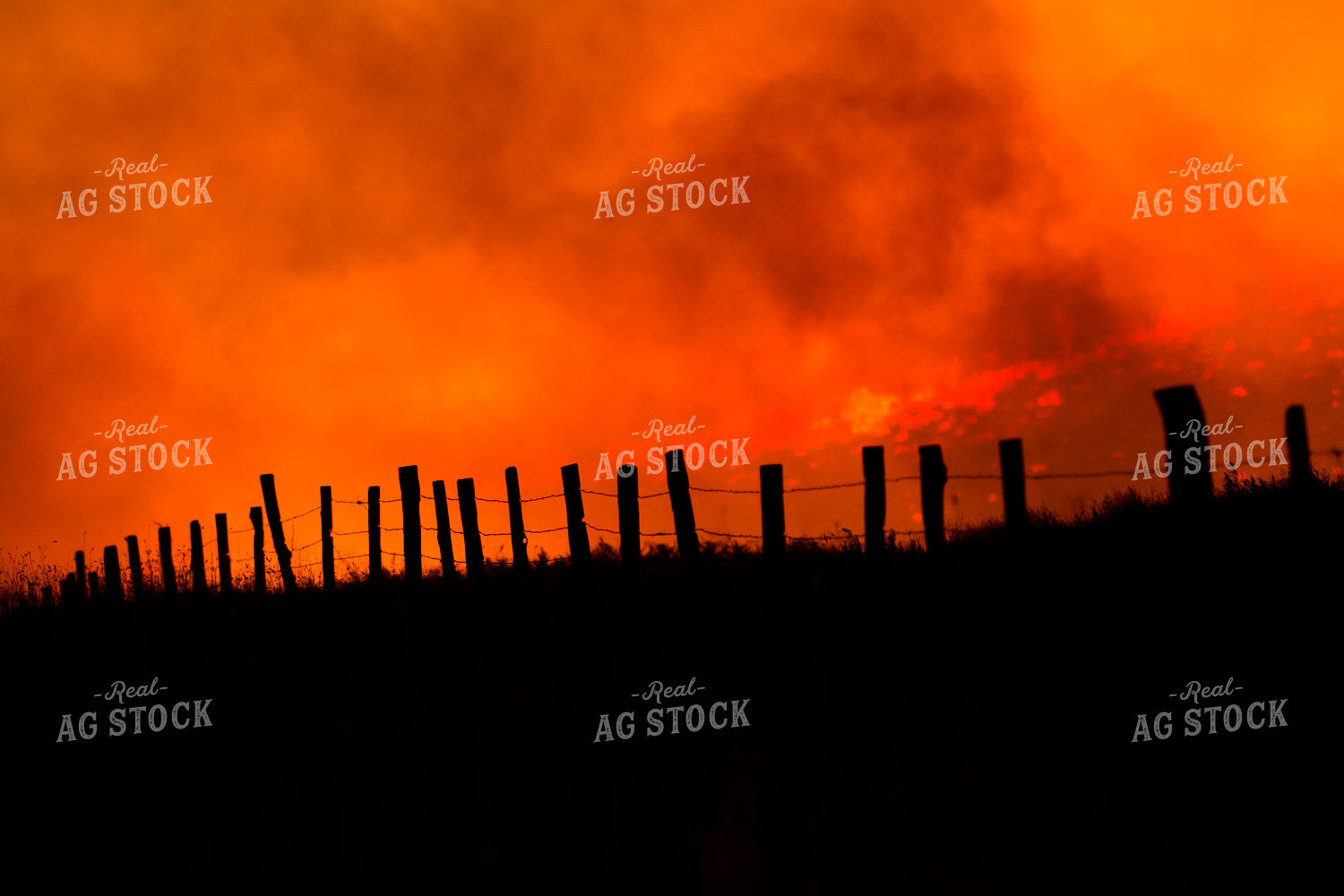 Wildfire Fenceline Silhouette 69001