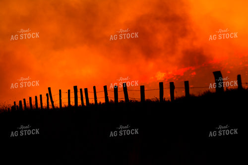 Wildfire Fenceline Silhouette 69001