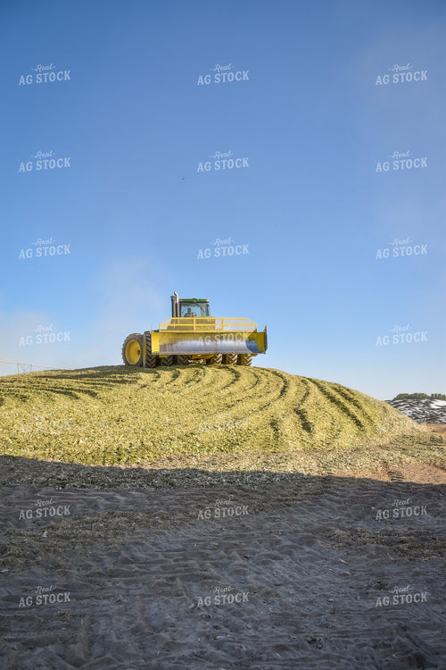 Compacting Silage 56518