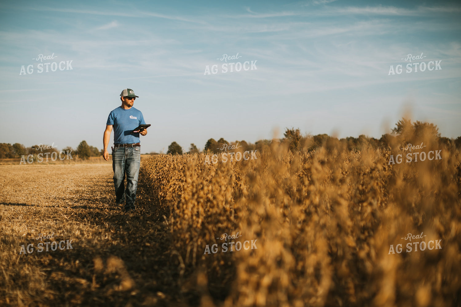 Farmer in Field with Tablet 7172