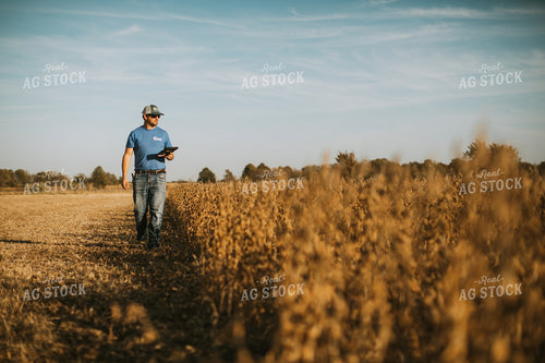 Farmer in Field with Tablet 7172