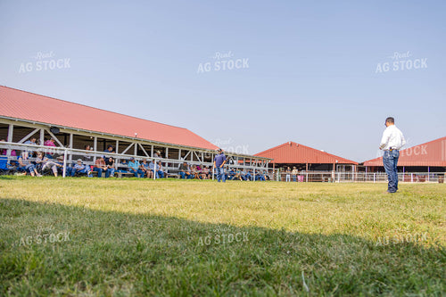 Agricultural Auction Gathering 97190