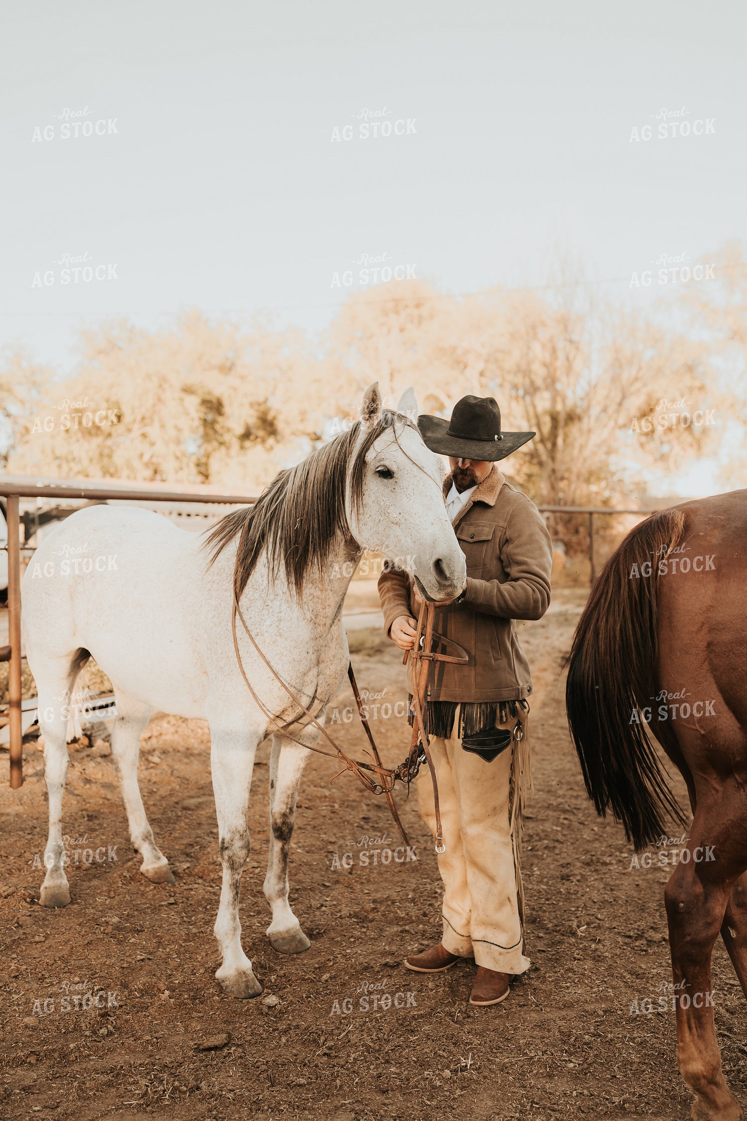 Cowboy 61176