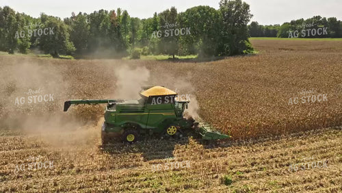 Corn Harvest 92064