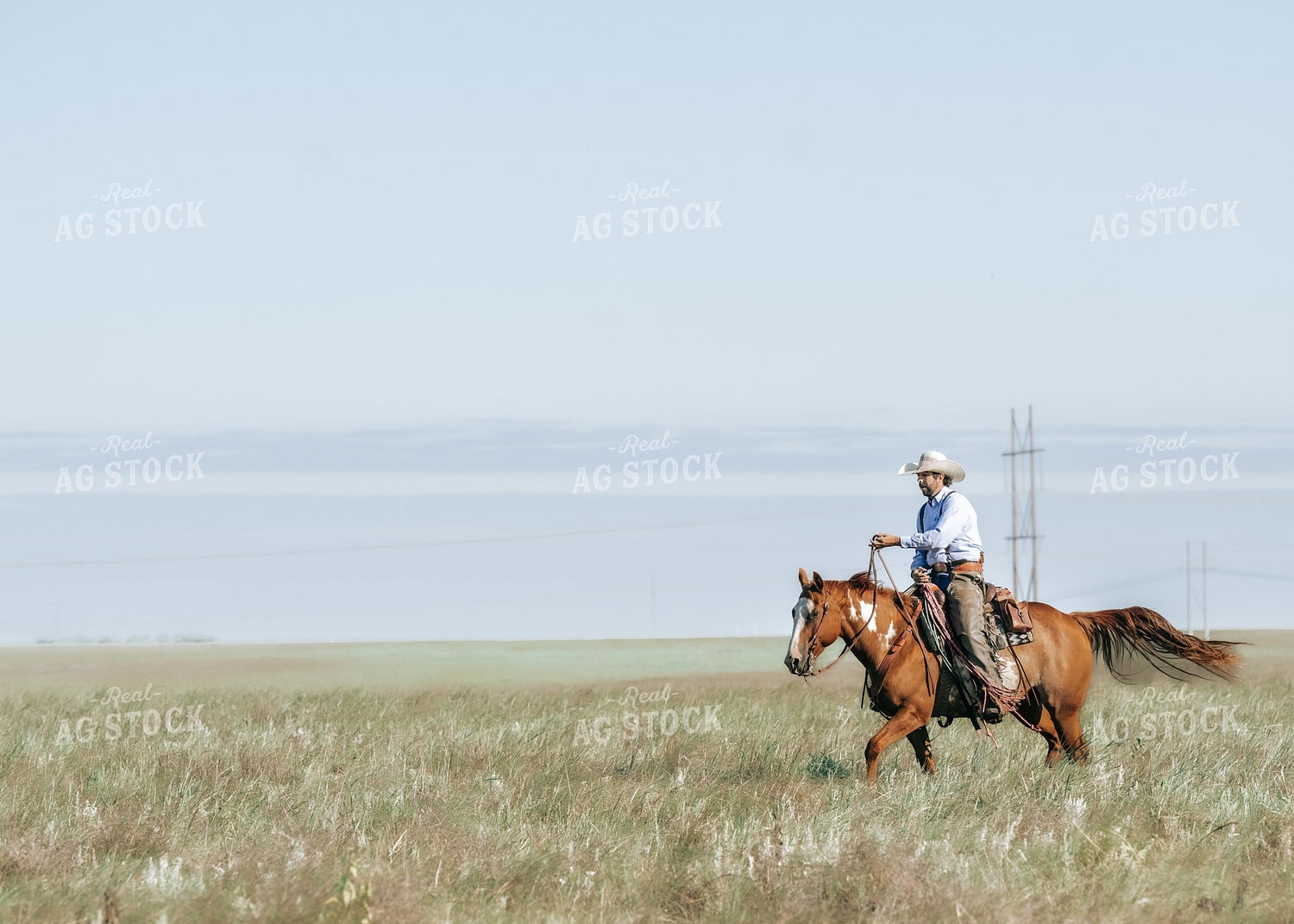 Rancher on Horseback 171015