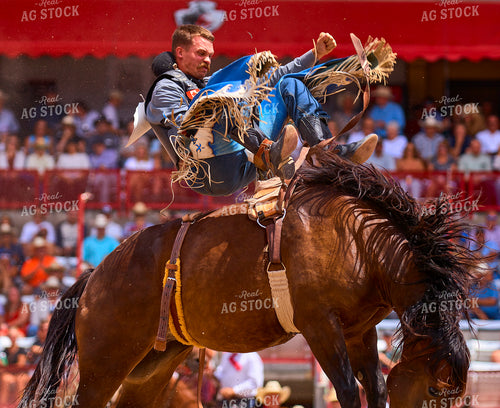 Saddle Bronc Riding 177005
