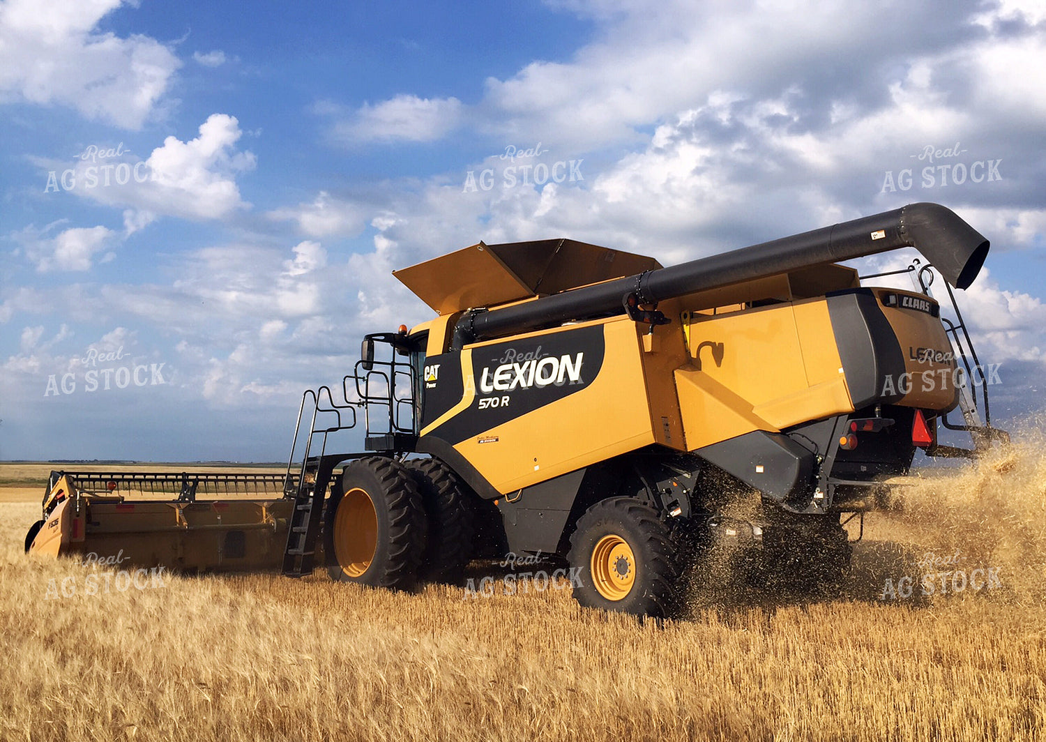 Combine Harvests Wheat 141001