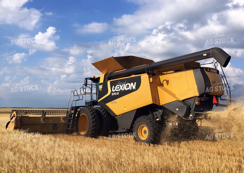 Combine Harvests Wheat 141001