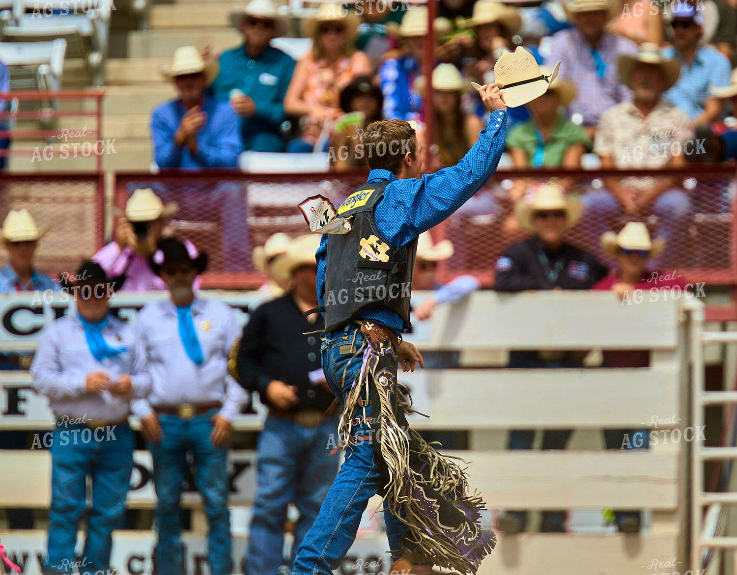 Saddle Bronc Riding 177020