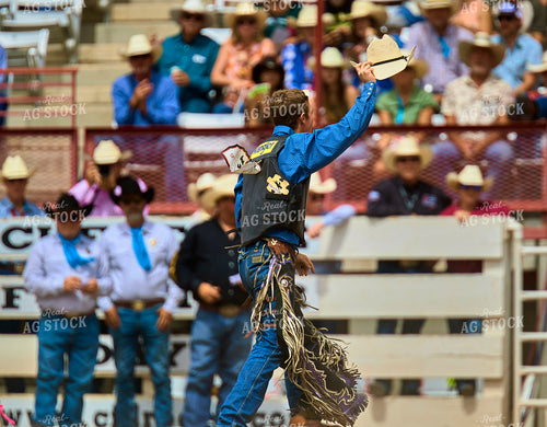 Saddle Bronc Riding 177020