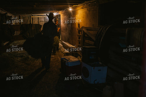 Ranchers Throwing Hay in Barn 6436