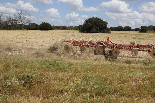 Raking Hay 102093