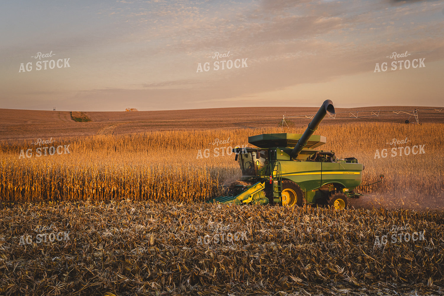 Harvest 196029