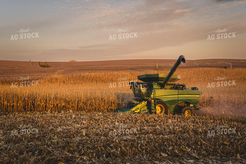 Harvest 196029