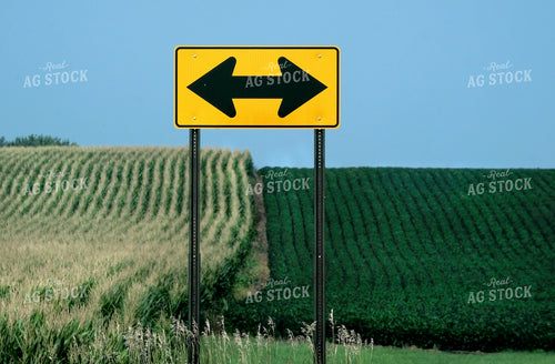 Road T Sign 154036