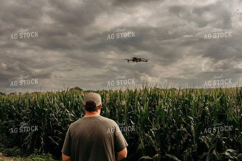 Scouting Fields With Drone 196358