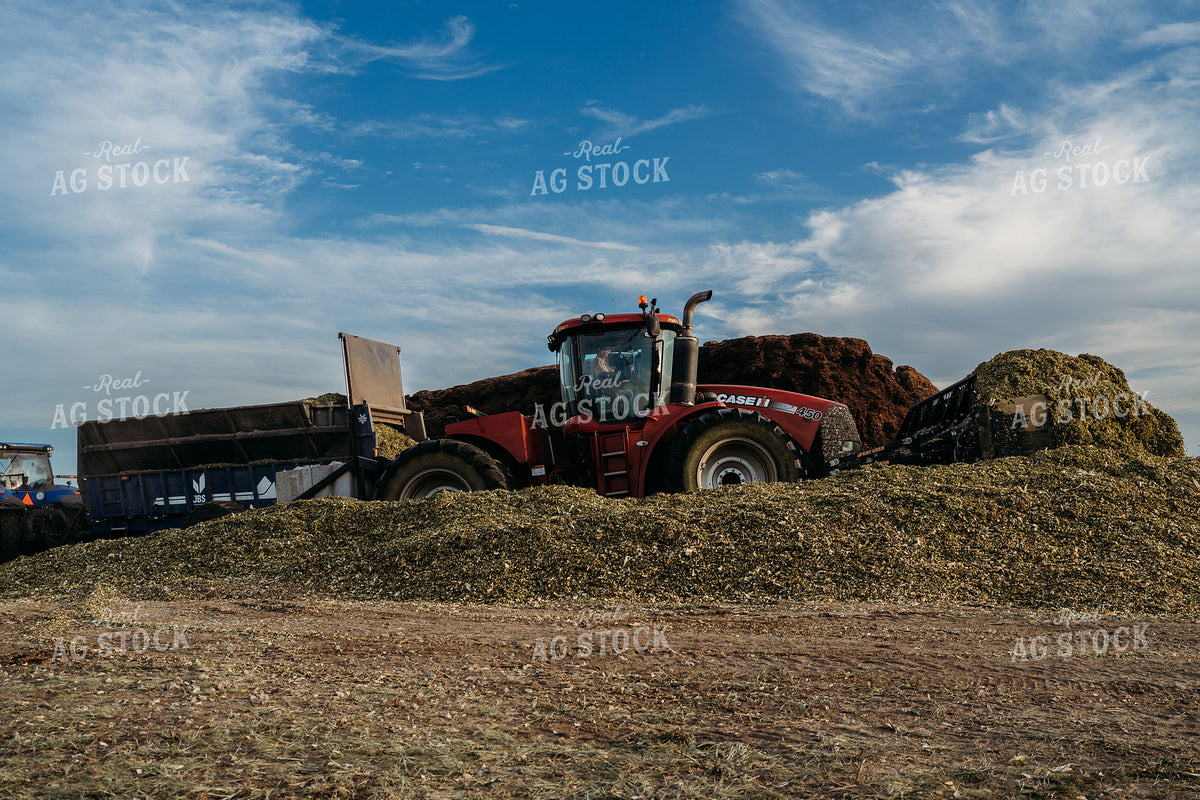 Unloading and Packing Silage 196371