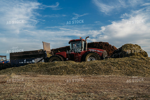 Unloading and Packing Silage 196371
