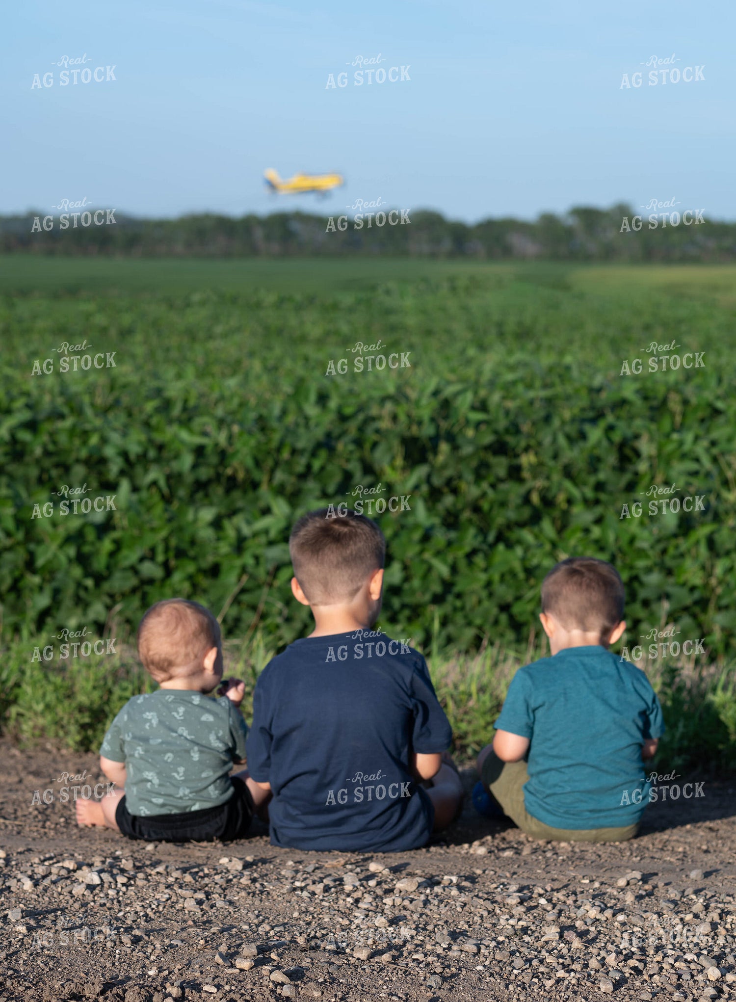 Farm Kids on Country Road 185008