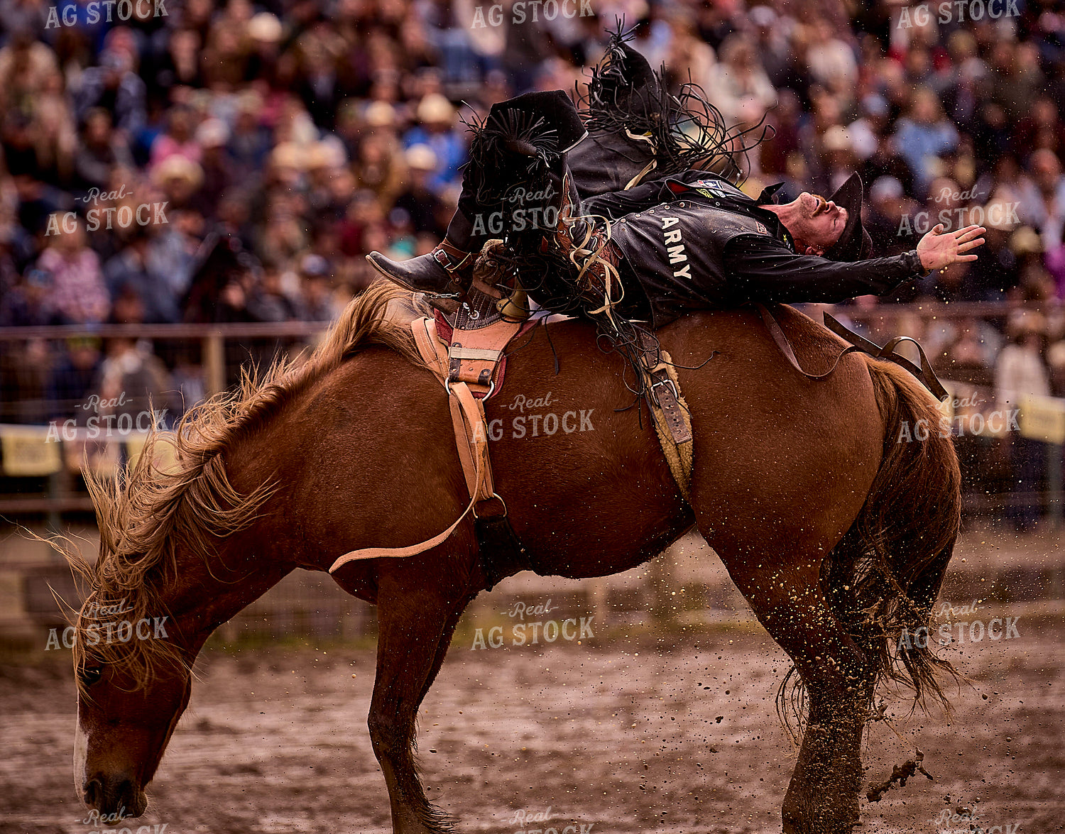 Rodeo 177040