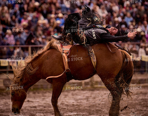 Rodeo 177040