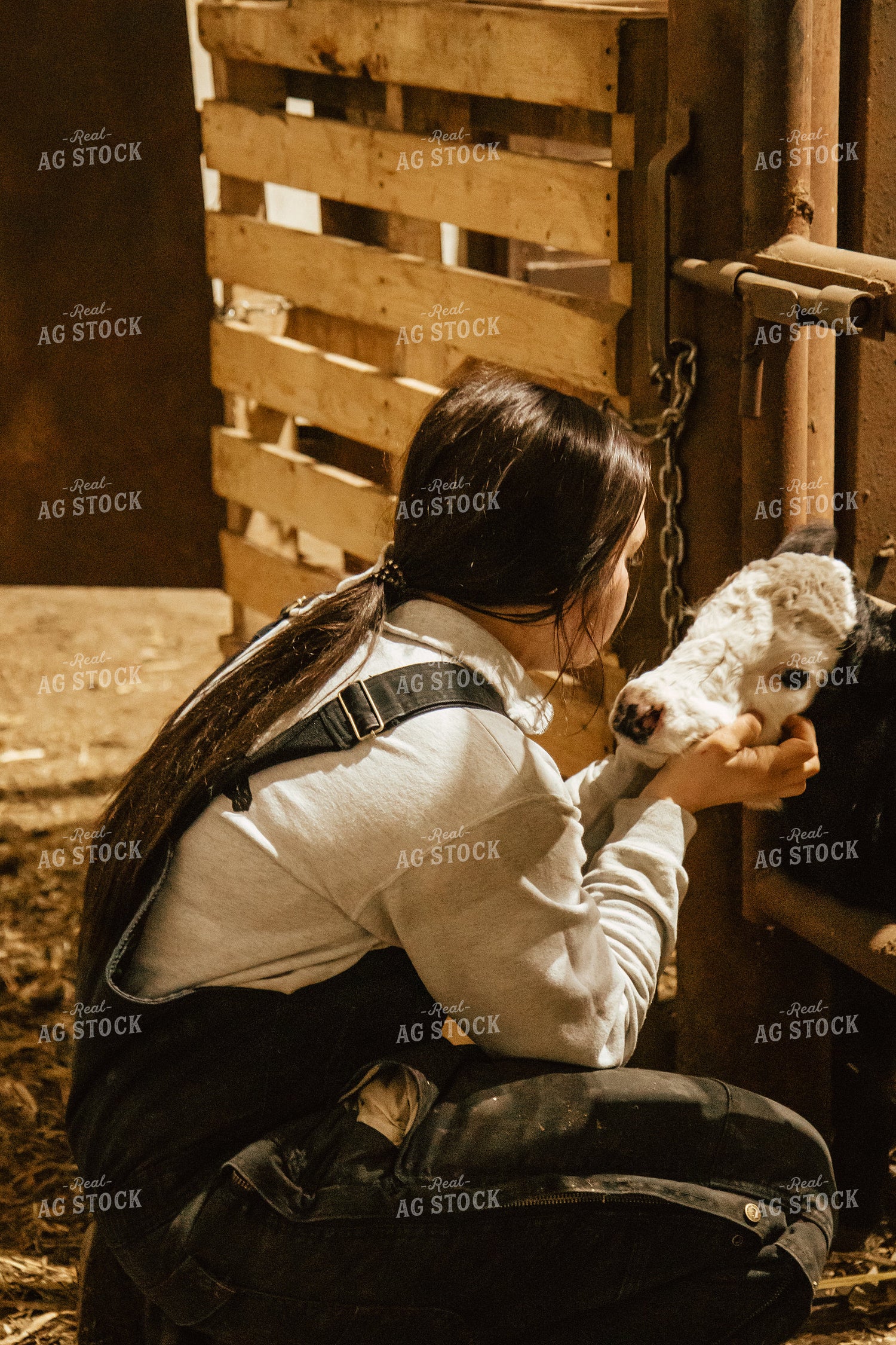 Female Farmer with Calf 67585