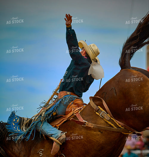 Saddle Bronc Riding 177026