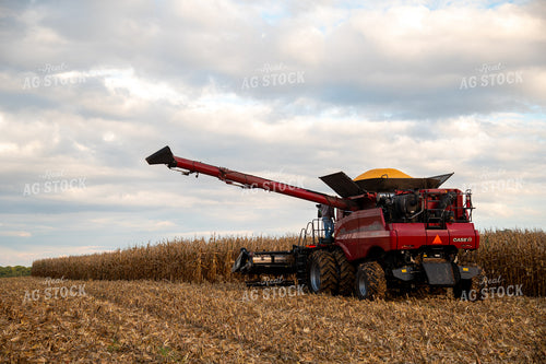 Combine Harvesting Corn 25568