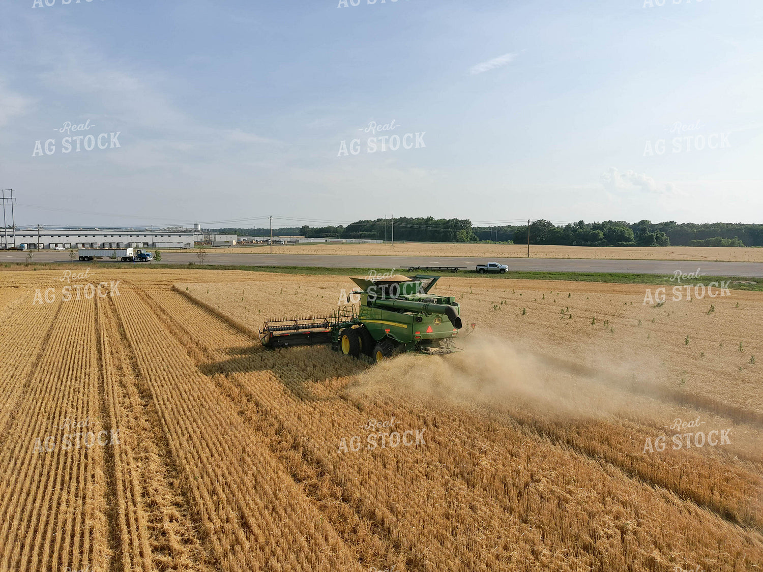 Combining Wheat 79037