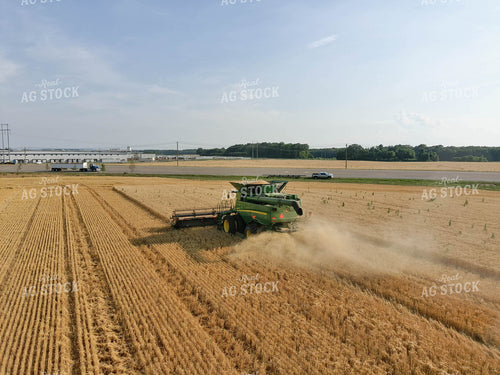 Combining Wheat 79037