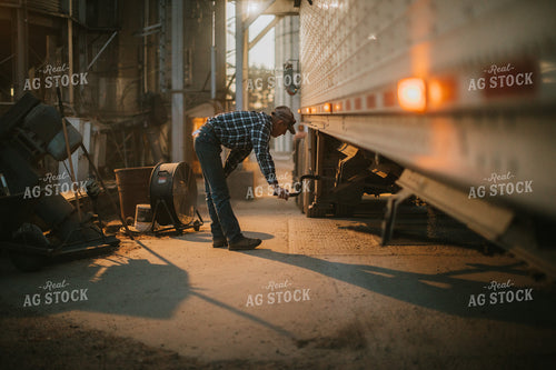 Farmer Unloading Soybeans From Semi Trailer 5146