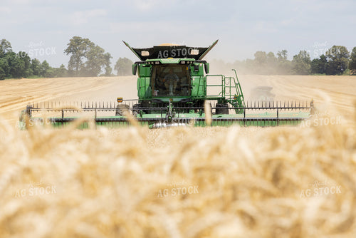 Wheat Harvest 79809