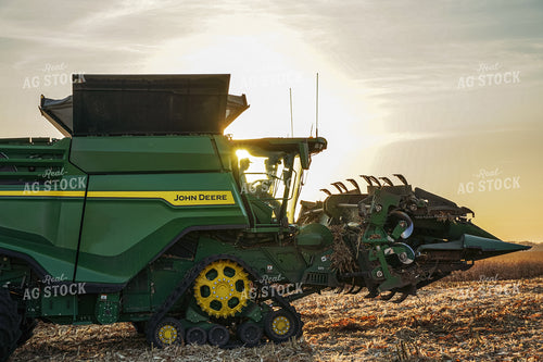 Corn Harvest 273004