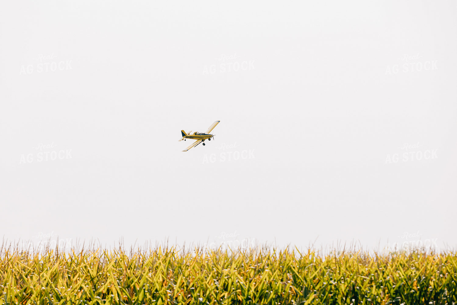 Crop Duster 178077