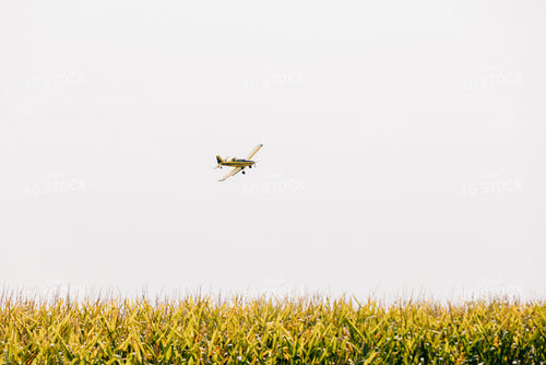 Crop Duster 178077