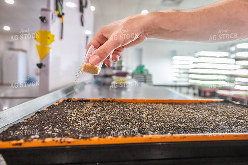 Planting Vegetables 270435