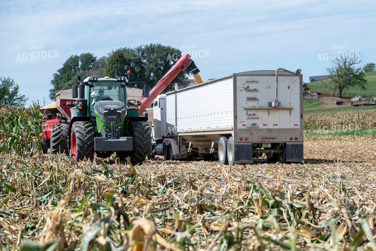 Corn Harvest 193114