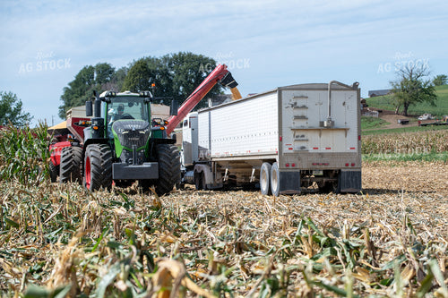 Corn Harvest 193114