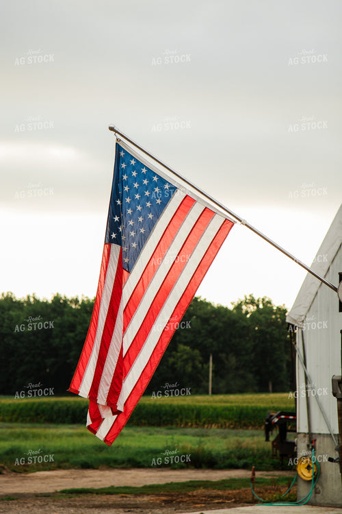 American Flag 67378