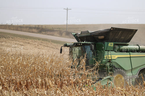 Corn Harvest 82165
