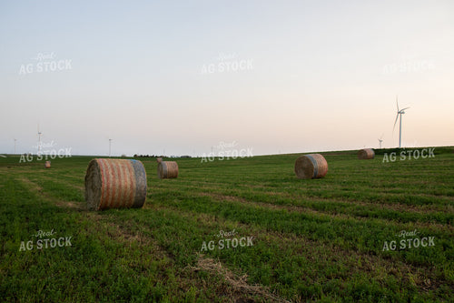 Round Bales in Field 67256