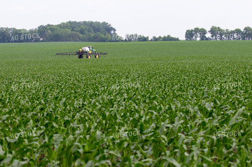 Spraying Corn 257029
